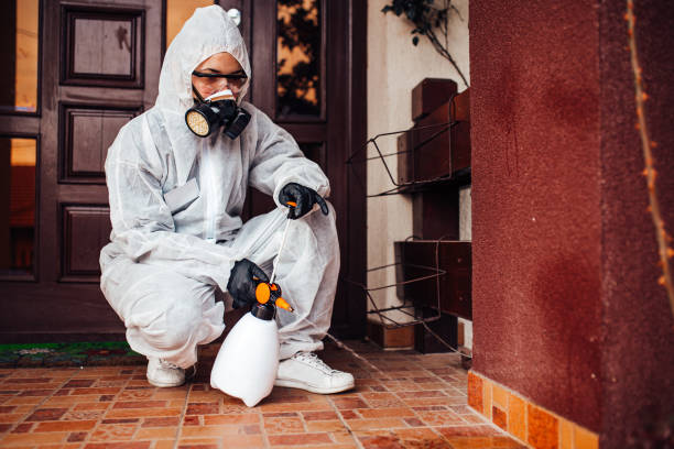 Reliable Ant Control contractor in Saraland, AL by Show Me Pest Control